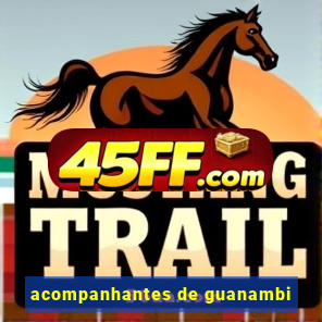 acompanhantes de guanambi